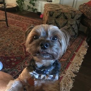 Meet your Posher, Keith